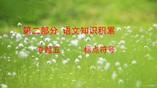 中考语文复习方案第二部分语文知识积累专题五标点符号课件516