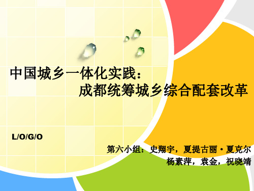 中国城乡一体化实践终稿