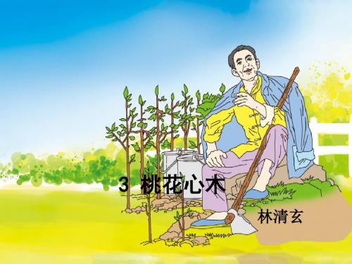 人教版六年级语文下册教学课件PPT：第三课桃花心木