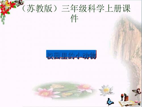 三年级科学上册校园里的动物ppt课件2新人教版