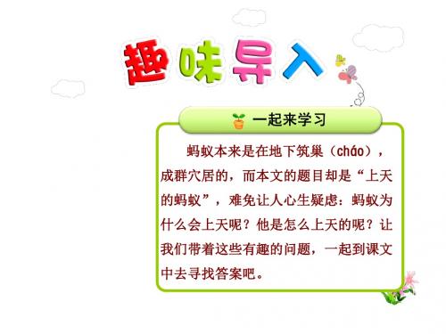 上天的蚂蚁PPT课件最新北师大版