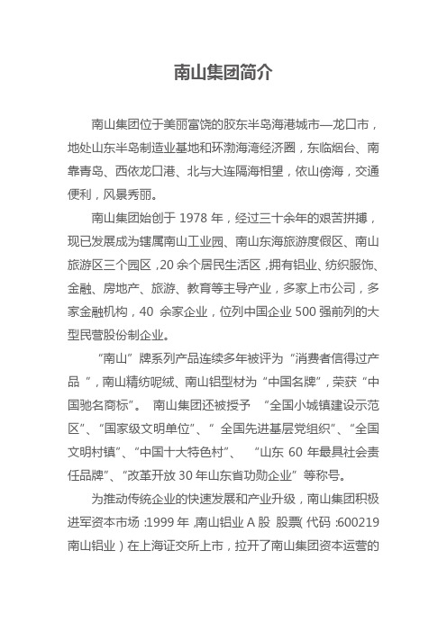 南山集团简介