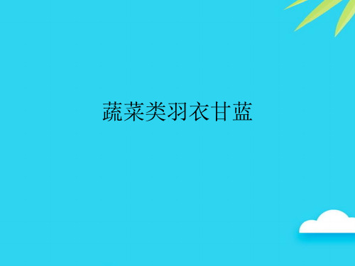 【正式版】蔬菜类羽衣甘蓝PPT
