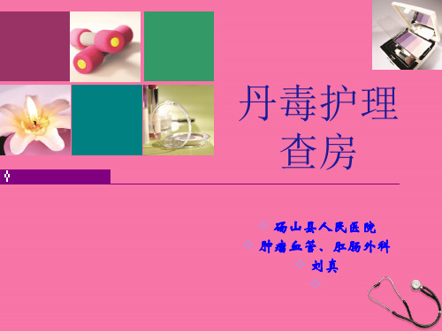 丹毒护理和查房-ppt课件