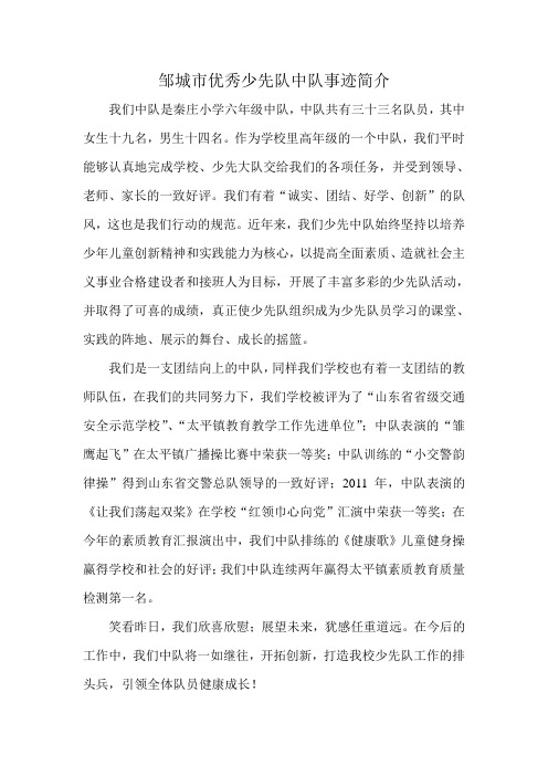 优秀少先队中队事迹简介