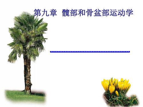 第九章-髋部与骨盆运动学【可编辑的PPT文档】