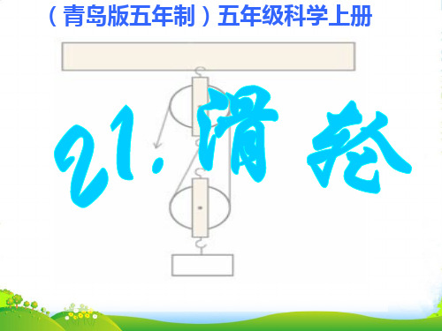 五年级科学上册 滑轮 3课件 青岛版