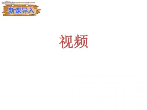 《中国人失掉自信力了吗》课件(19张ppt)