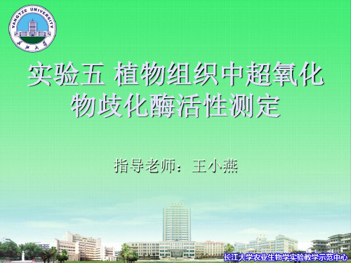 植物组织中超氧化物歧化酶活性测定