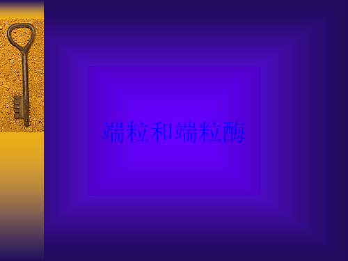端粒和端粒酶培训课件