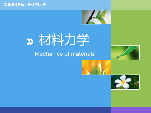 弯曲的概念和实例