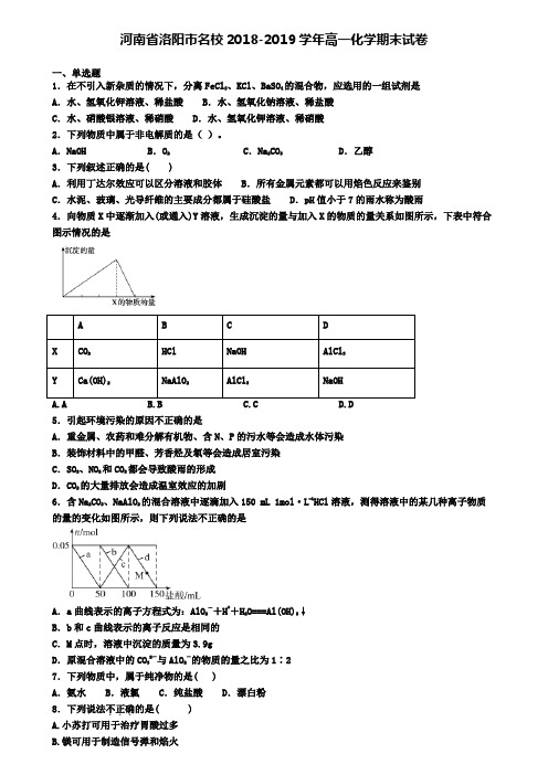 河南省洛阳市名校2018-2019学年高一化学期末试卷