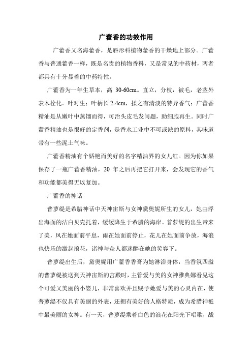 广藿香的功效作用