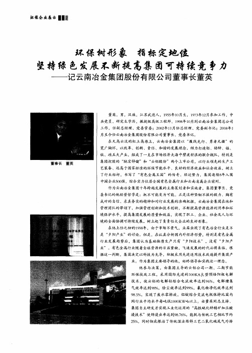环保树形象 指标定地位坚持绿色发展不断提高集团可持续竞争力——记云南冶金集团股份有限公司董事长董