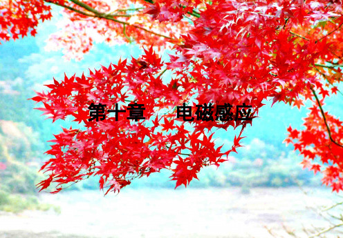 高考物理一轮复习第十章电磁感应(第1课时)课件