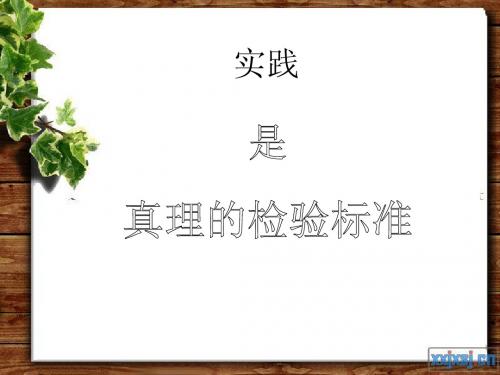 实践是真理的检验标准