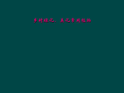 乡村绿化、美化常用植物