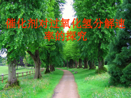 高中化学《催化剂对过氧化氢分解速率的探究》实验课PPT