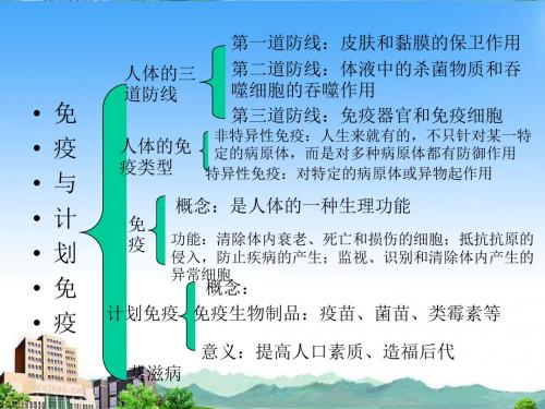 人教版生物八年级下第八单元第二章《用药和急救》课件