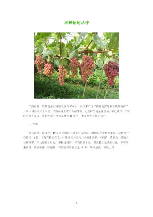 早熟葡萄品种