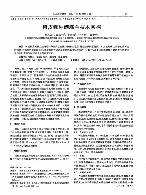 树皮栽种蝴蝶兰技术初探