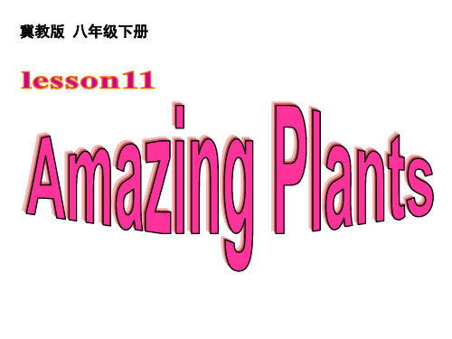 八年级英语下册 Unit 2 Lesson 11 Amazing Plants课件