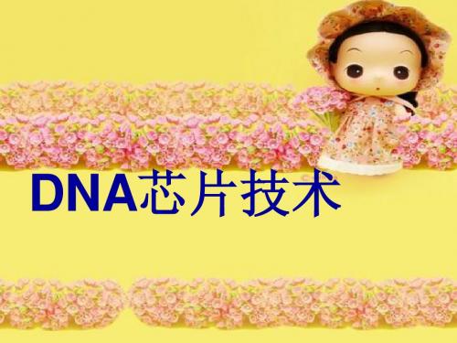 DNA芯片技术