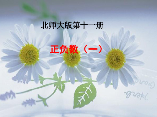 正负数1
