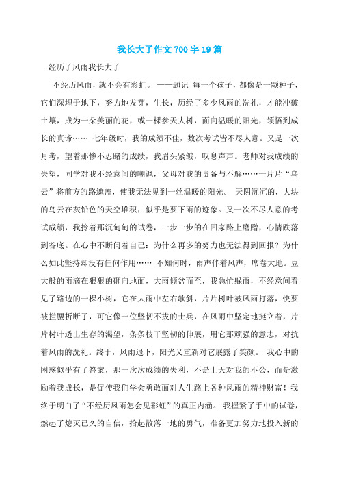 我长大了作文700字19篇