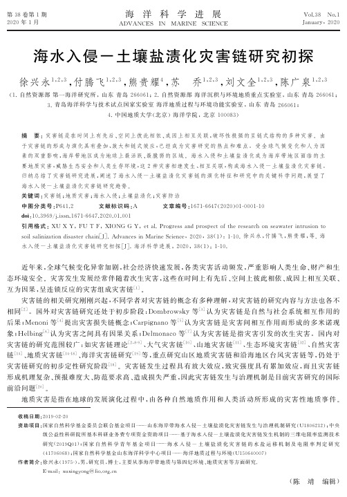 海水入侵-土壤盐渍化灾害链研究初探