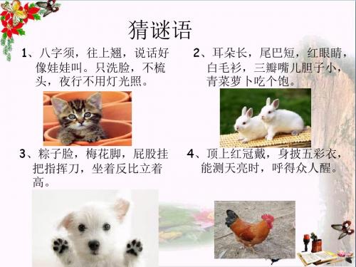 四年级语文上册习作四我喜欢的动物作文ppt课件5新人教版