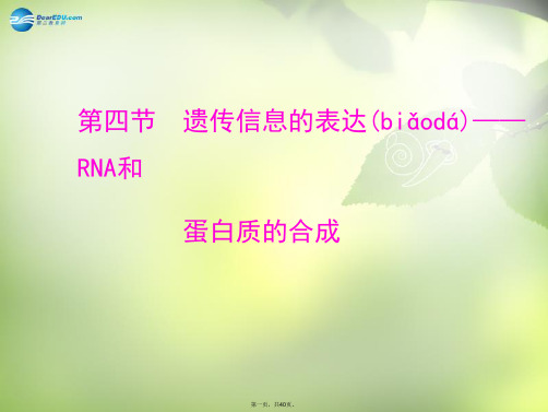 高中生物 第三章 遗传的分子基础 第四节 遗传信息的表达RNA和蛋白质的合成课件 浙科版必修2