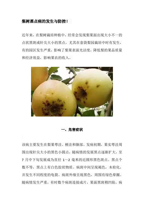 梨树黑点病的发生与防控