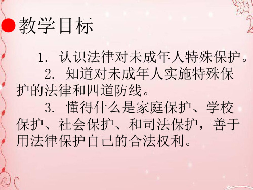 法律为我们护航PPT课件 人教版
