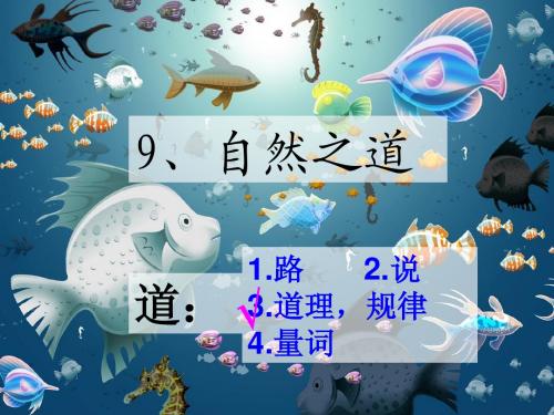 人教版语文四年级下册9《自然之道》
