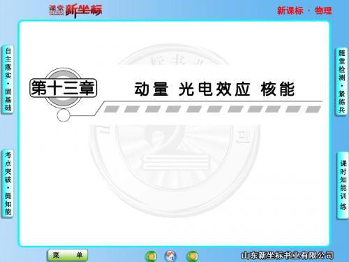 2013新课标高中物理总复习第13章---第1讲
