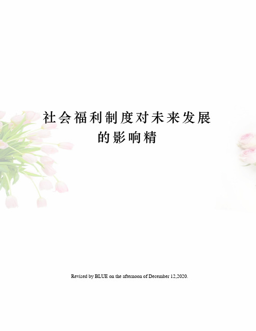 社会福利制度对未来发展的影响精