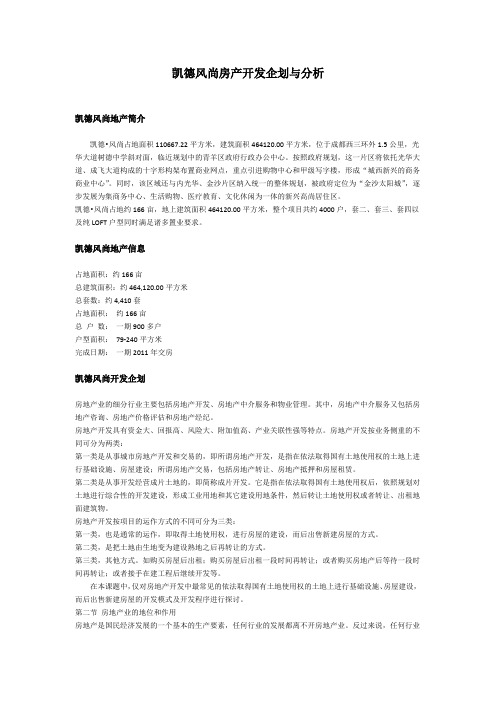 凯德风尚房产开发企划与分析
