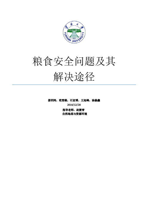 我国粮食安全问题及解决途径【范本模板】