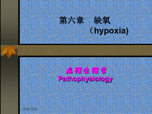 病理生理学 第五章 缺氧