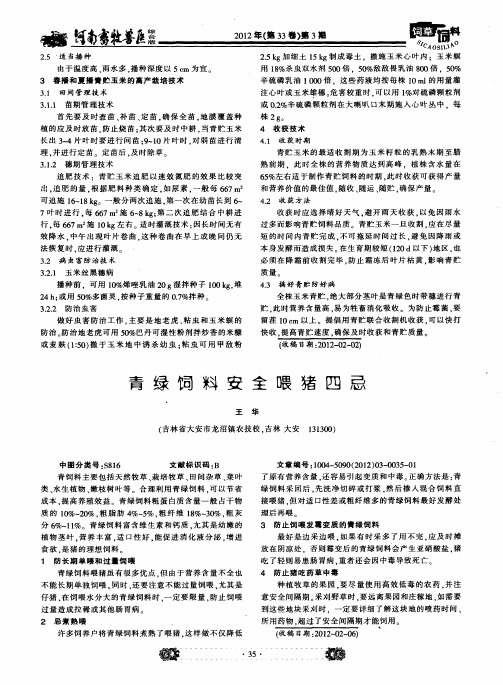 青绿饲料安全喂猪四忌