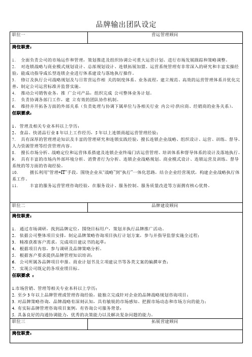品牌输出团队设定