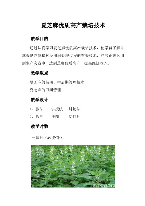夏芝麻优质高产栽培技术