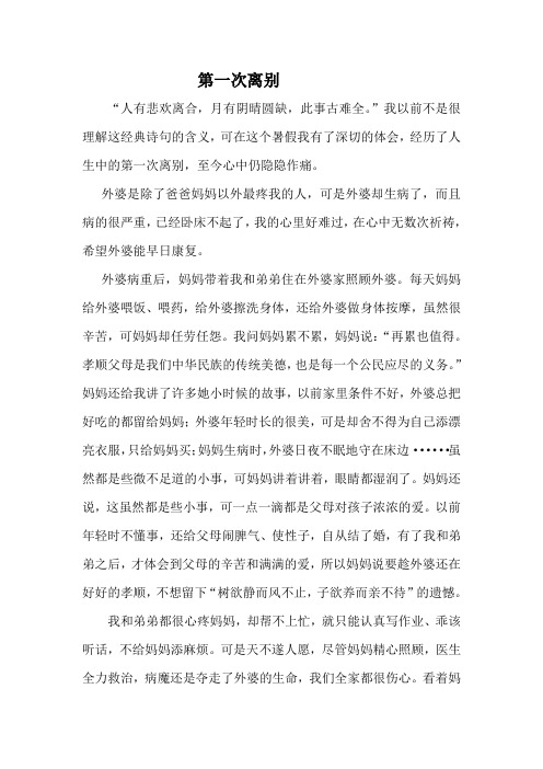 《第一次离别》优秀作文