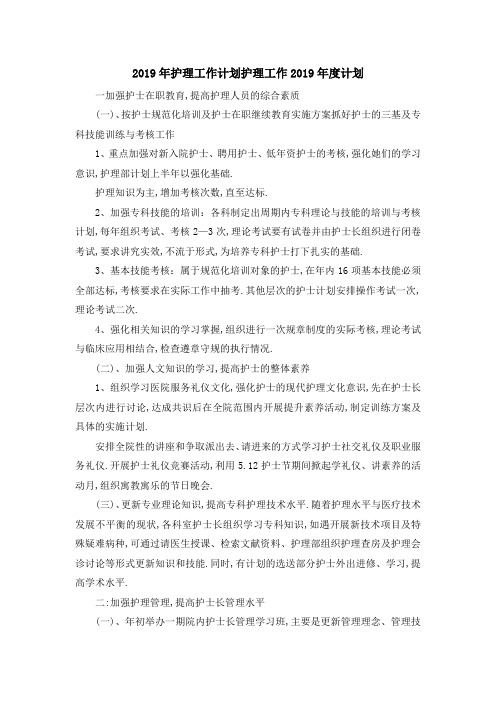 2019年护理工作计划 护理工作2019年度计划 精品