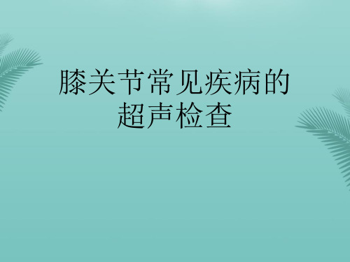 【推荐文档】膝关节常见疾病的超声检查PPT