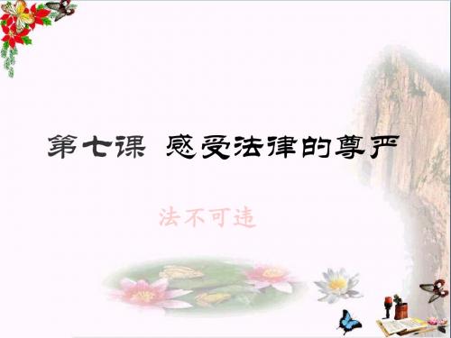 法不可违ppt优秀课件 人教版