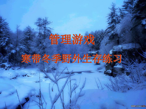 寒带冬季野外生存游戏(2009)