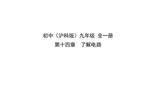 沪科版物理九年级全一册 第十四章第一节电是什么 课件