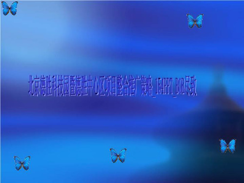 北京德胜科技园暨德胜中心区项目整合推广策略_154PPT_BOB尽致